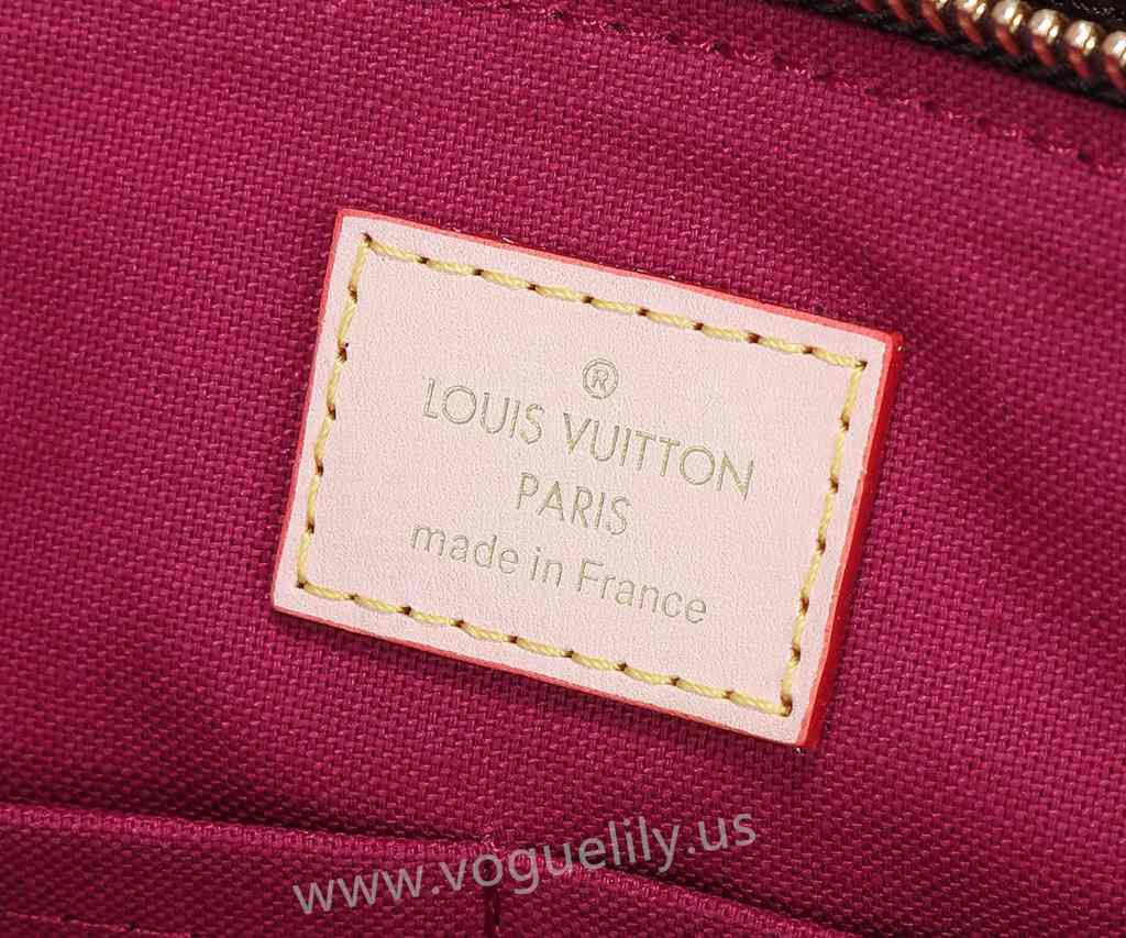 M45900 Petit Palais Tote 29