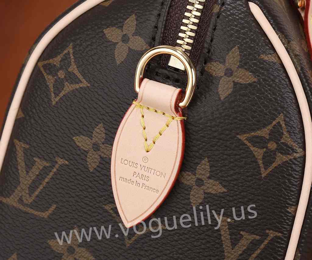 M46594 Speedy Bandoulière 20 M46594 Speedy Bandoulière 20