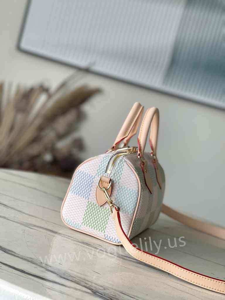 N40515 Speedy Bandouliere 20 N40515 Speedy Bandouliere 20