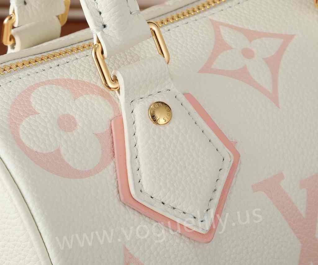 M46875 Speedy Bandoulière 20