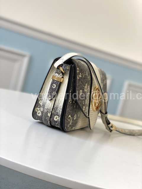 M55947 Pont 9 Lizard 23