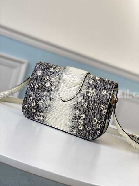 M55947 Pont 9 Lizard 23