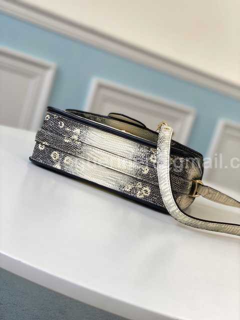 M55947 Pont 9 Lizard 23