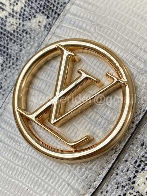 M55947 Pont 9 Lizard 23