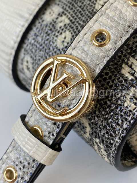 M55947 Pont 9 Lizard 23