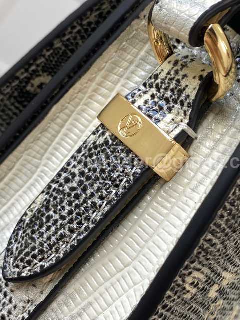 M55947 Pont 9 Lizard 23