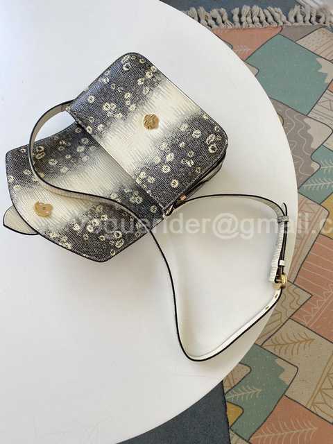 M55947 Pont 9 Lizard 23