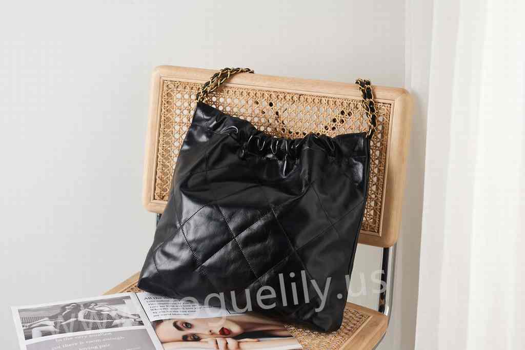 AS3261 22Bag 42 AS3261 22Bag 42