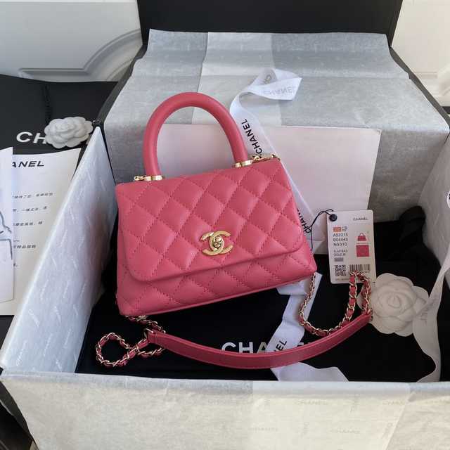 2215 Coco Handle mini 19
