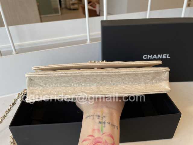 AP2136 WOC 19 AP2136 WOC 19