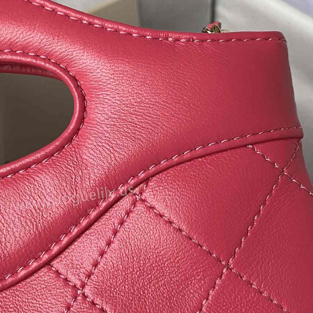 AP3656 31Bag Nano 17