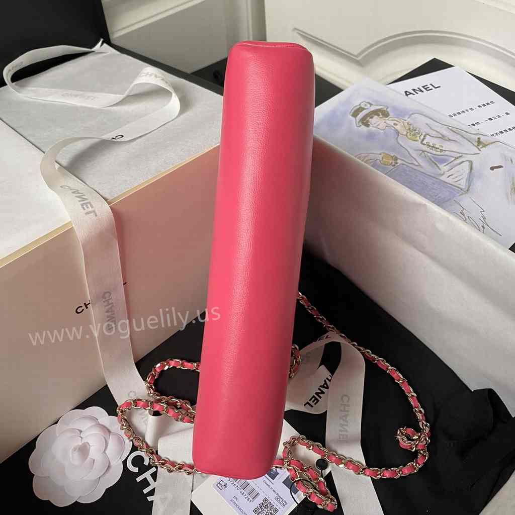 AP3656 31Bag Nano 17