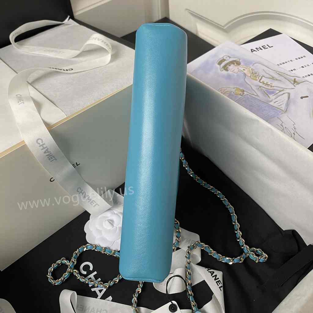 AP3656 31Bag Nano 17