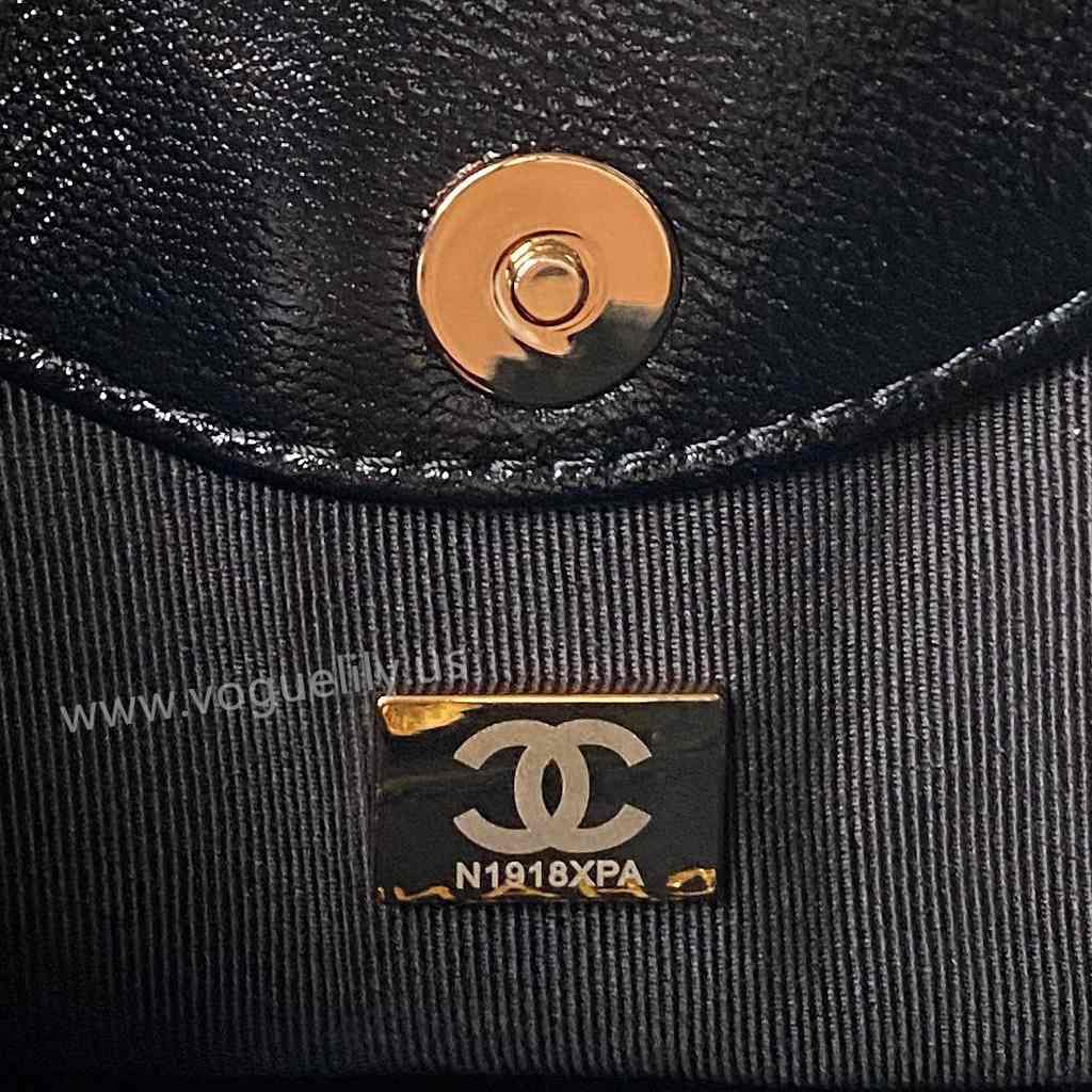 AP3656 31Bag Nano 17