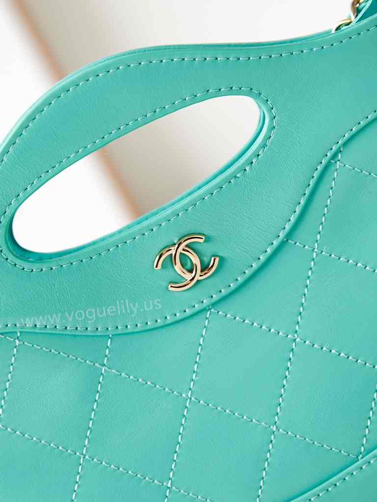 AP3656 31Bag Nano 17 AP3656 31Bag Nano 17