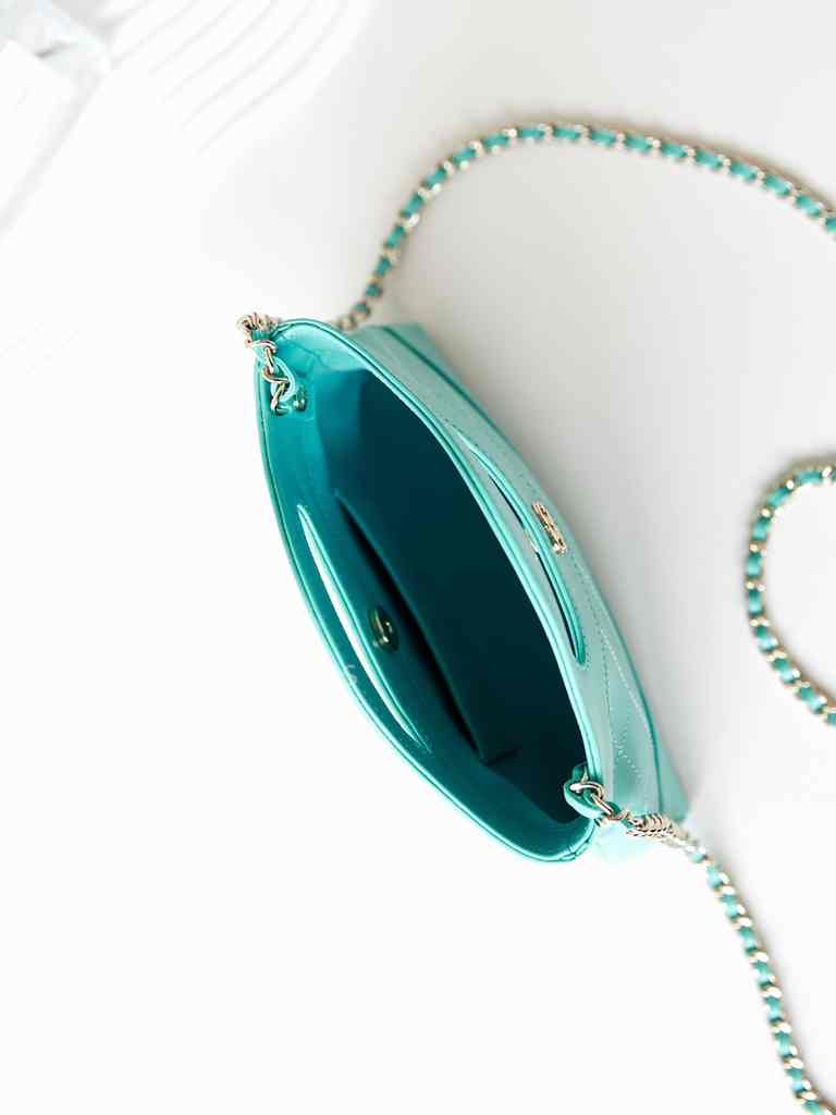 AP3656 31Bag Nano 17 AP3656 31Bag Nano 17