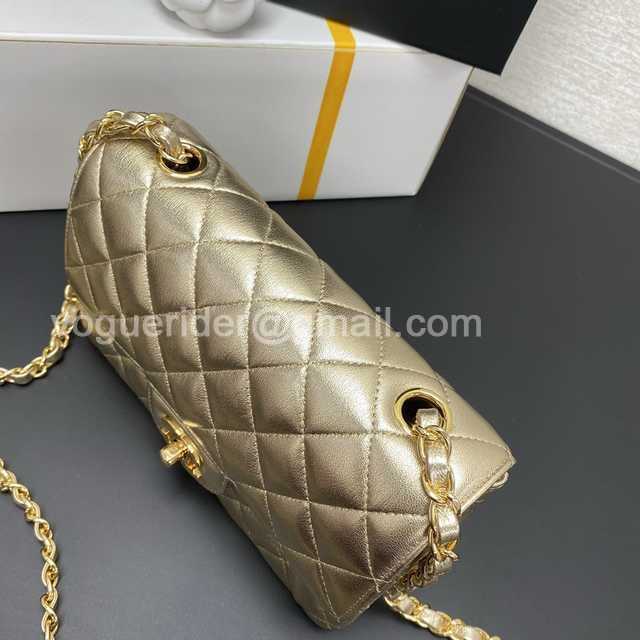 Top 1116 New Mini 20 Gaiera Lambskin Top 1116 New Mini 20 Gaiera Lambskin