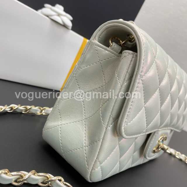 Top 1116 New Mini 20 Gaiera Lambskin Top 1116 New Mini 20 Gaiera Lambskin