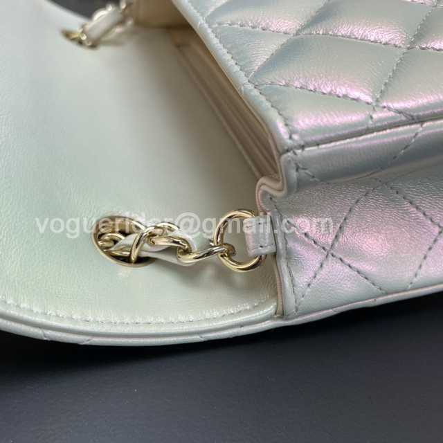 Top 1116 New Mini 20 Gaiera Lambskin Top 1116 New Mini 20 Gaiera Lambskin