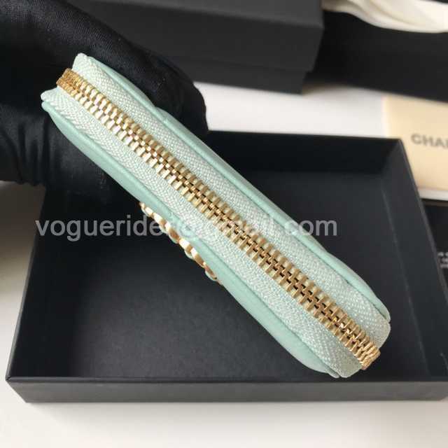 AP0945 Coin Purse 11