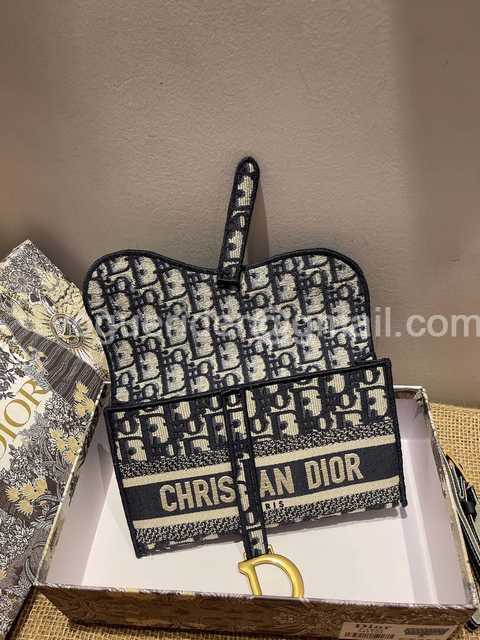 Waist Bag 19.5 Oblique