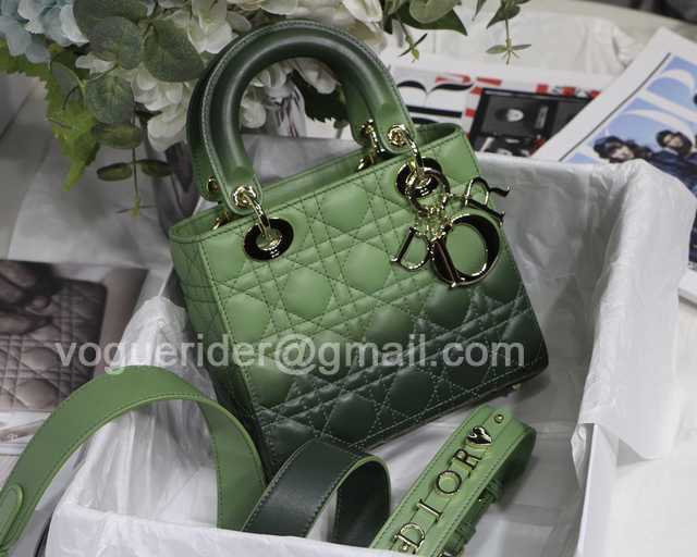 2241 4L My ABC Gradient 20 2241 4L My ABC Gradient 20