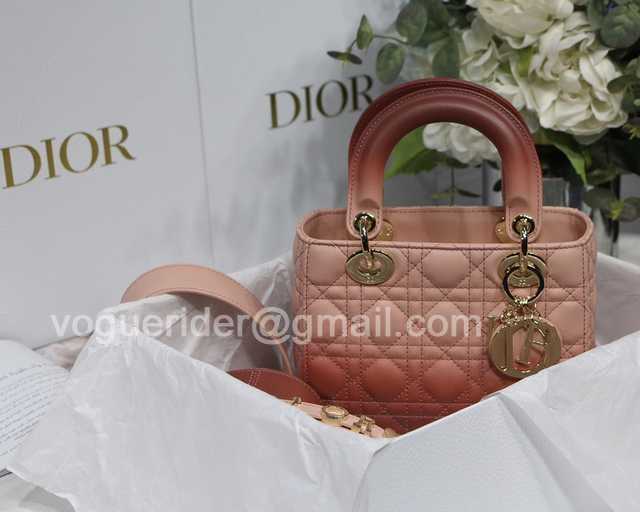 2241 4L My ABC Gradient 20