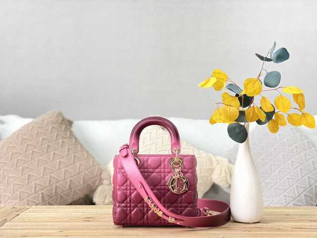 M0539 4L My ABC Gradient 20