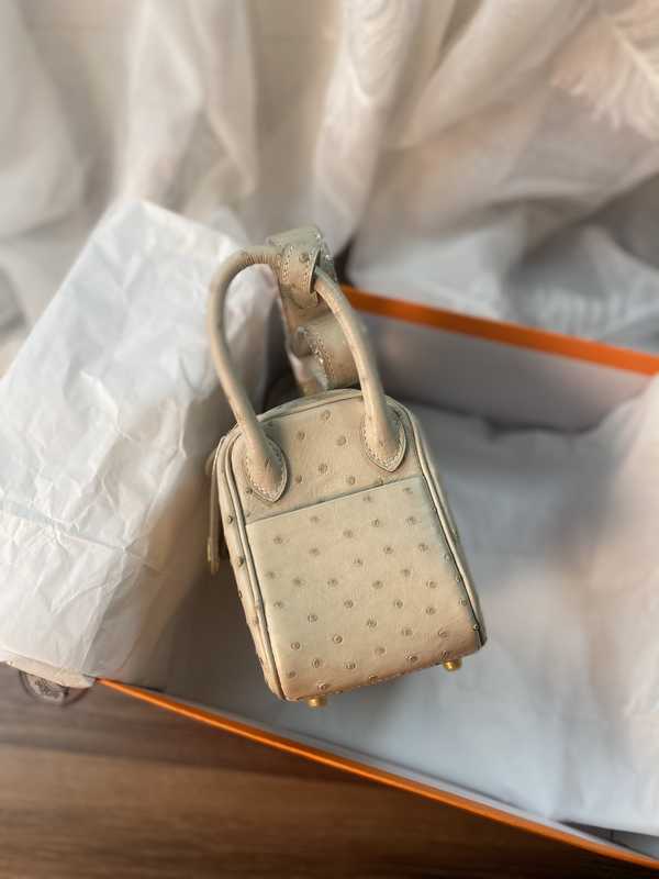Ostrich Lindy 19 Ostrich Lindy 19