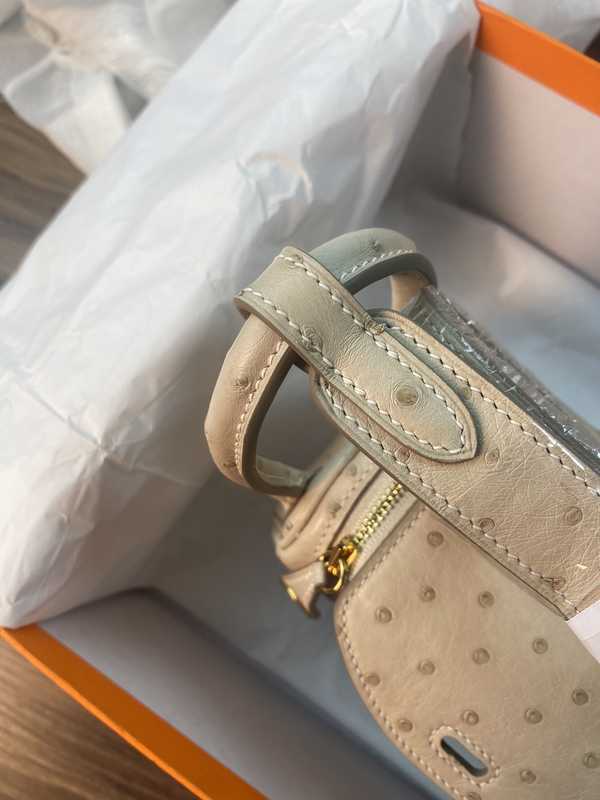 Ostrich Lindy 19 Ostrich Lindy 19