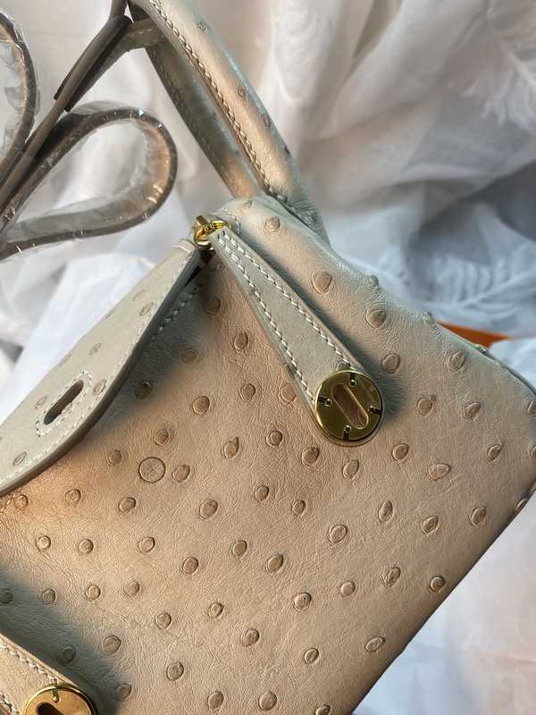 Ostrich Lindy 19 Ostrich Lindy 19