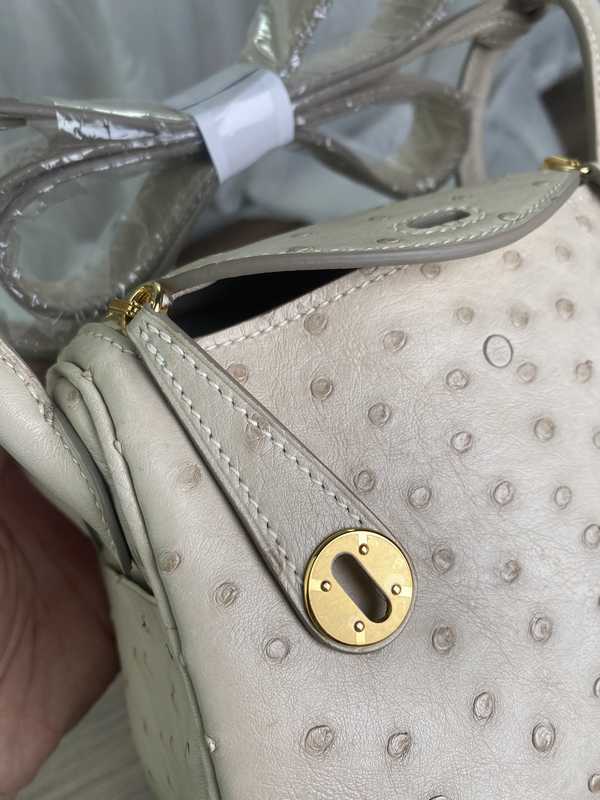 Ostrich Lindy 19 Ostrich Lindy 19