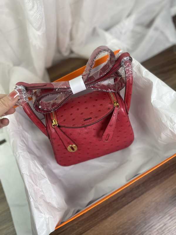 Ostrich Lindy 19