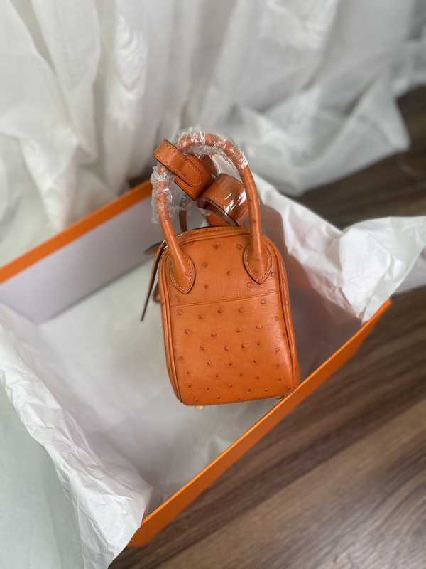 Ostrich Lindy 19 Ostrich Lindy 19