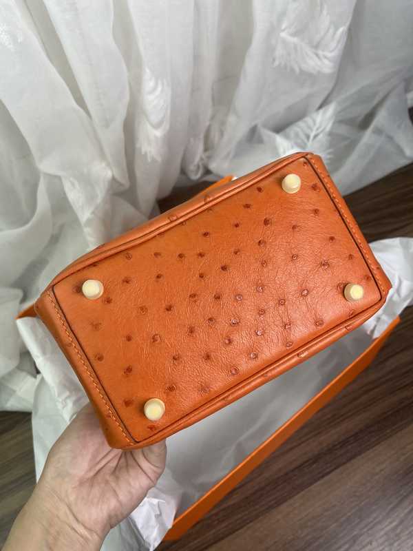 Ostrich Lindy 19 Ostrich Lindy 19