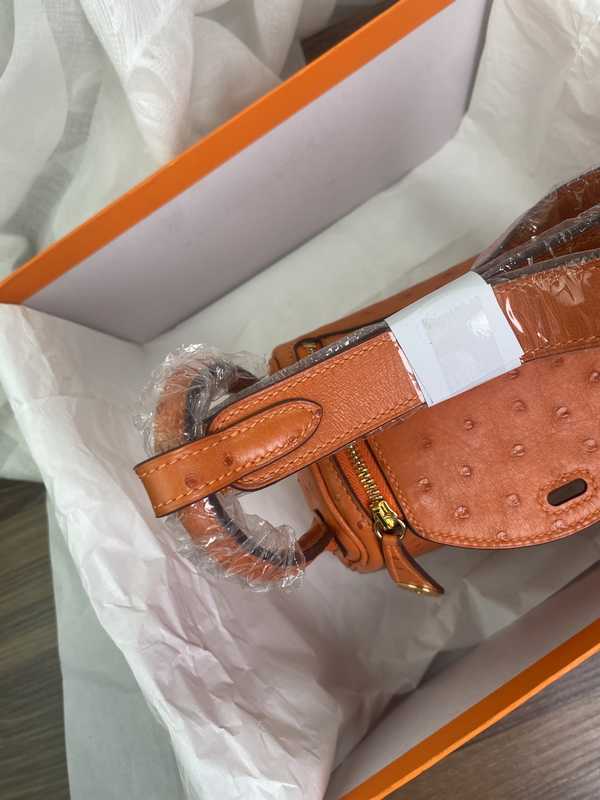 Ostrich Lindy 19 Ostrich Lindy 19