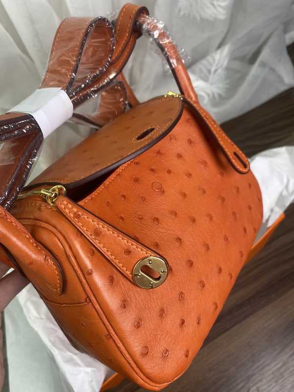 Ostrich Lindy 19 Ostrich Lindy 19