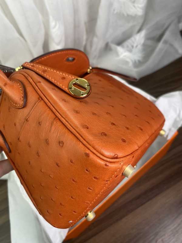 Ostrich Lindy 19 Ostrich Lindy 19