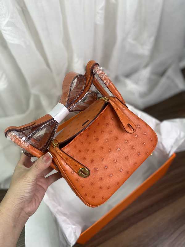 Ostrich Lindy 19 Ostrich Lindy 19