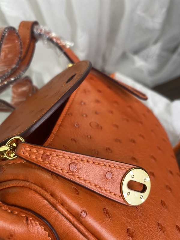 Ostrich Lindy 19 Ostrich Lindy 19