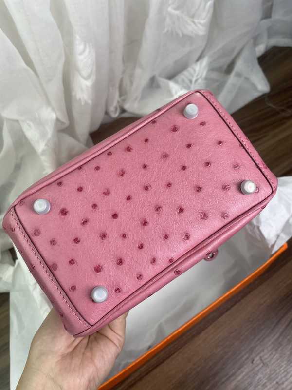 Ostrich Lindy 19 Ostrich Lindy 19