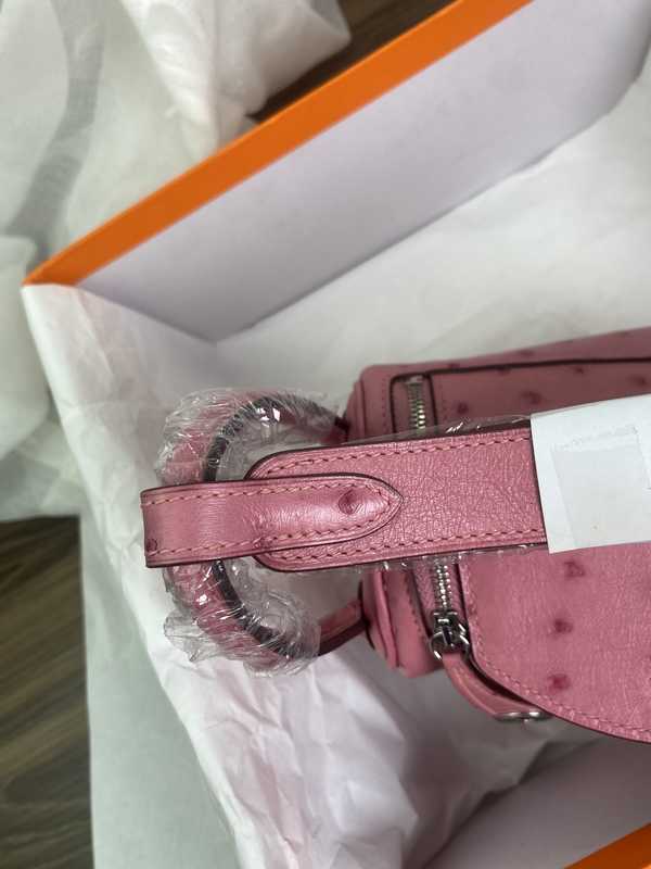 Ostrich Lindy 19 Ostrich Lindy 19