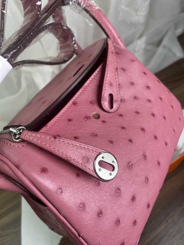 Ostrich Lindy 19 Ostrich Lindy 19