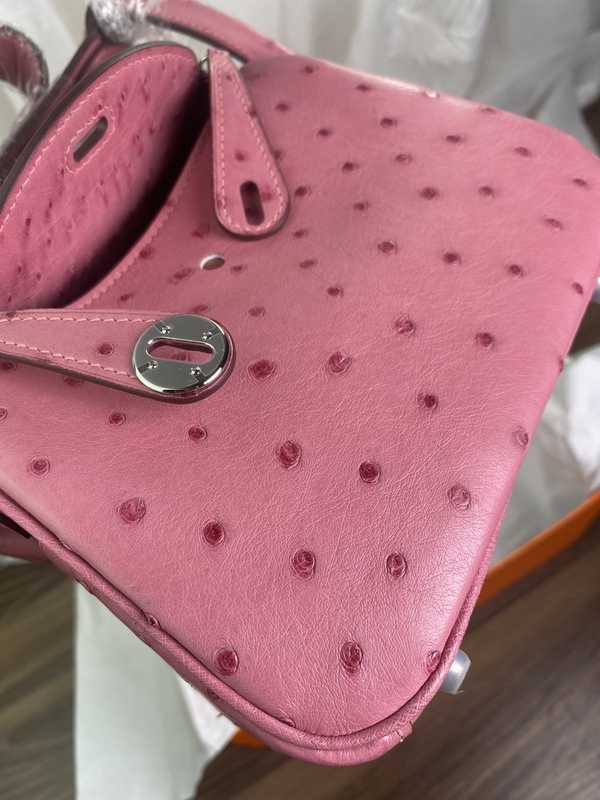 Ostrich Lindy 19 Ostrich Lindy 19