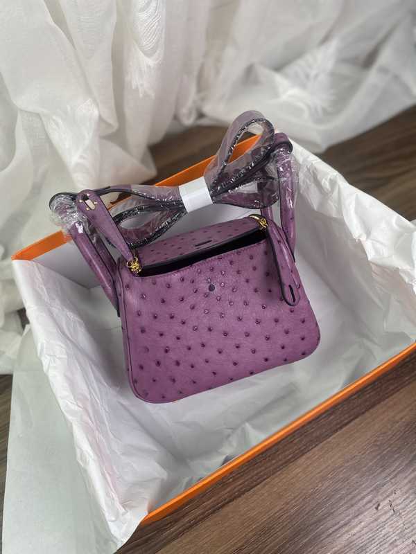 Ostrich Lindy 19