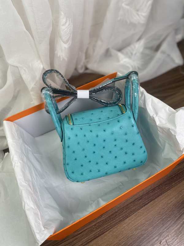 Ostrich Lindy 19 Ostrich Lindy 19