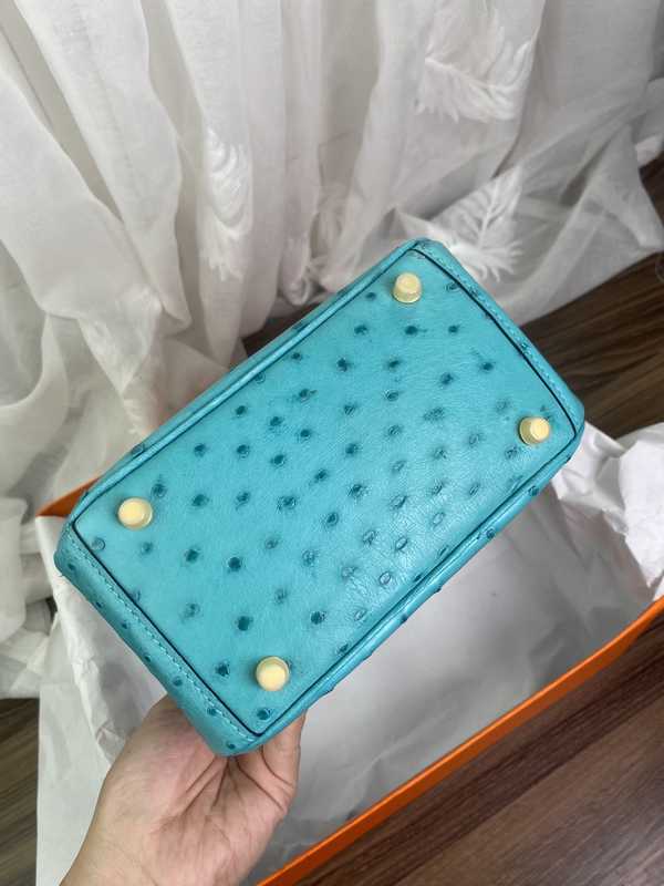 Ostrich Lindy 19 Ostrich Lindy 19