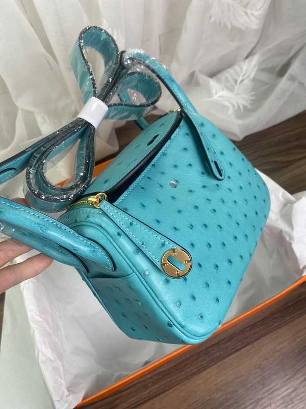 Ostrich Lindy 19 Ostrich Lindy 19