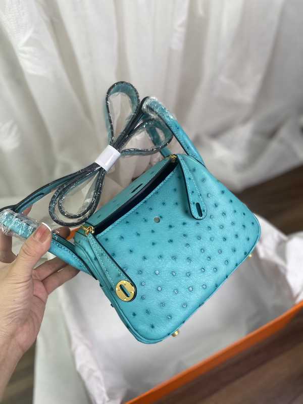 Ostrich Lindy 19 Ostrich Lindy 19