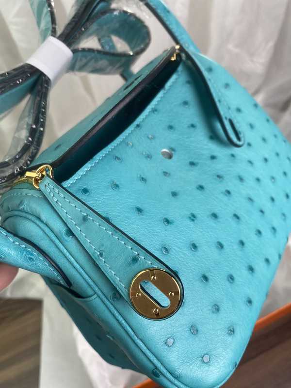 Ostrich Lindy 19 Ostrich Lindy 19